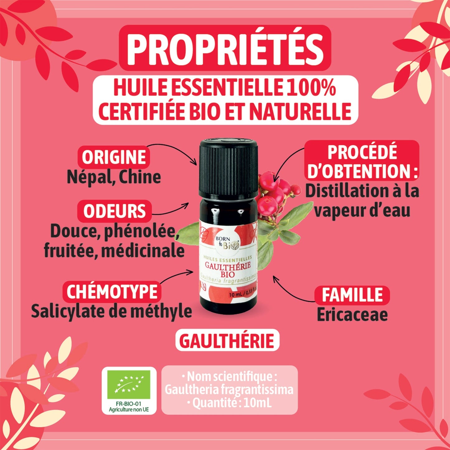 Huile essentielle Gaulthérie Certifiée Bio-1